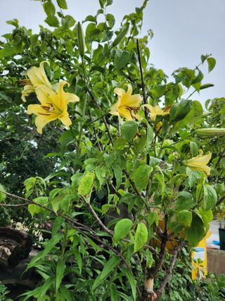 알 수 없음님의 자유주제 · 자유게시판 작성글 사진