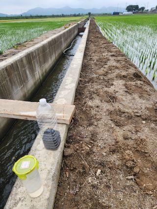 알 수 없음님의 자유주제 · 자유게시판 작성글 사진