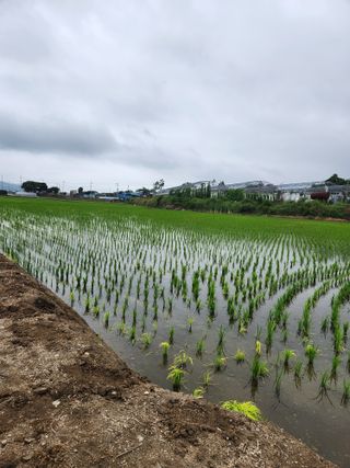 알 수 없음님의 자유주제 · 자유게시판 작성글 사진