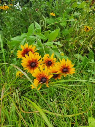 알 수 없음님의 자유주제 · 자유게시판 작성글 사진