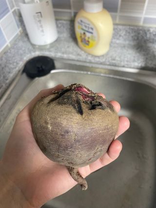 조은주님의 자유주제 · 칭찬해요 작성글 사진