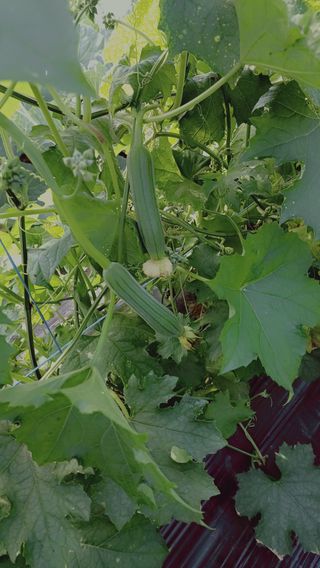 김명중님의 파 · 자유게시판 작성글 사진