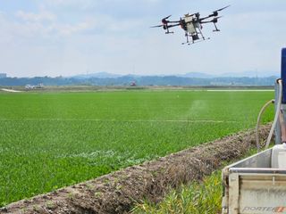 박영섭님의 콩 · 자유게시판 작성글 사진