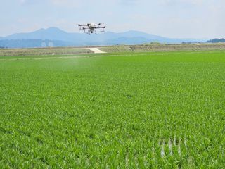 박영섭님의 콩 · 자유게시판 작성글 사진