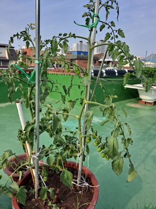 해남댁님의 장마 대비 어떻게 하셨나요? · 참여 작성글 사진