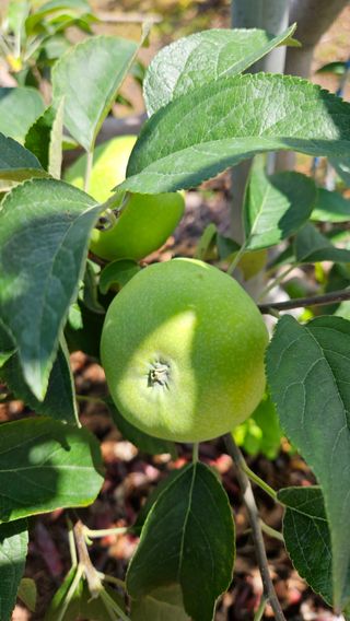 가산농장님의 자유주제 · 사진전 작성글 사진