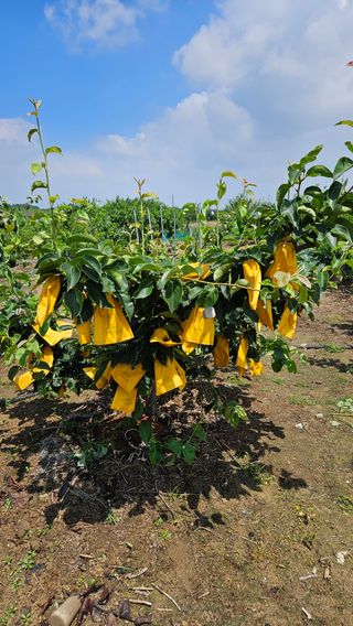 가산농장님의 자유주제 · 사진전 작성글 사진