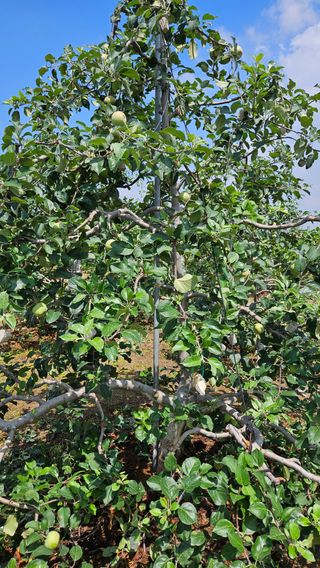 가산농장님의 자유주제 · 사진전 작성글 사진