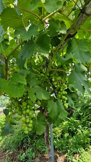 가산농장님의 자유주제 · 사진전 작성글 사진