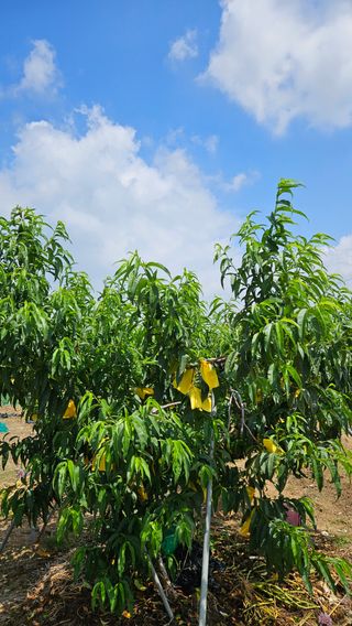 가산농장님의 자유주제 · 사진전 작성글 사진