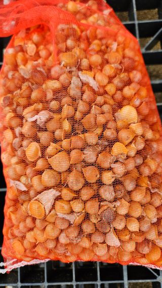 가산농장님의 자유주제 · 사진전 작성글 사진