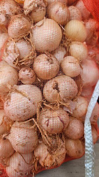 가산농장님의 자유주제 · 사진전 작성글 사진