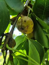 팜모닝 우리동네·구합니다/도움요청 게시글 이미지