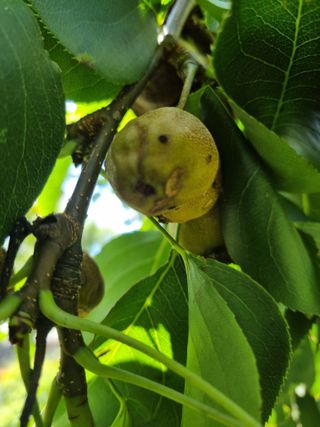 장광준님의 우리동네 · 구합니다/도움요청 작성글 사진