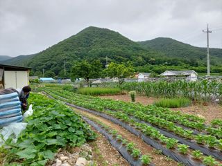 유병욱님의 자유주제 · 자유게시판 작성글 사진