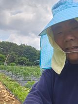 팜모닝 감자·자유게시판 게시글 이미지