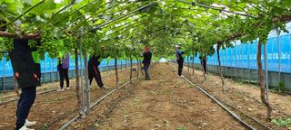 박우형님의 장마 대비 어떻게 하셨나요? · 참여 작성글 사진