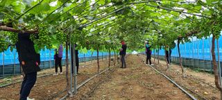 박우형님의 장마 대비 어떻게 하셨나요? · 참여 작성글 사진