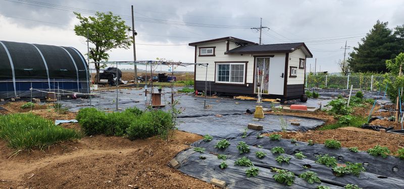 최민자 님의 장터 판매 상품 [500g] 첨부 사진