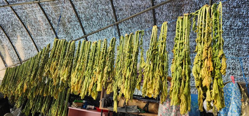 최민자 님의 장터 판매 상품 [500g] 첨부 사진