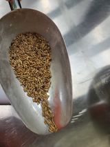 팜모닝 기타작물·자유게시판 게시글 이미지