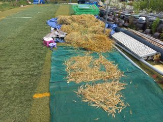 고랑이랑 임수연님의 기타작물 · 자유게시판 작성글 사진