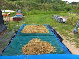 고랑이랑 임수연님의 기타작물 · 자유게시판 작성글 사진