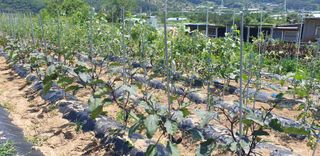 양성근님의 장마 대비 어떻게 하셨나요? · 참여 작성글 사진