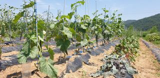 양성근님의 장마 대비 어떻게 하셨나요? · 참여 작성글 사진