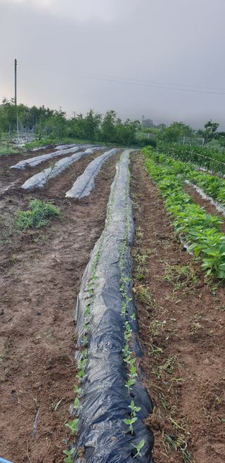 양성근님의 장마 대비 어떻게 하셨나요? · 참여 작성글 사진