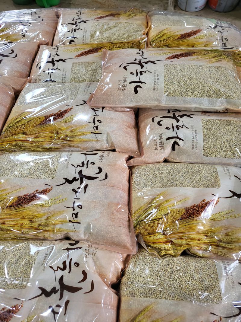 김영진(전남영광)님의 장터 판매 상품 [23년도 햇보리쌀 5kg 판매해요(쌀보리)] 첨부 사진