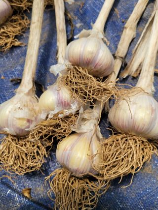 이상숙님의 자유주제 · 자유게시판 작성글 사진