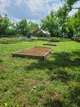 팜모닝 자유주제·자유게시판 게시글 이미지