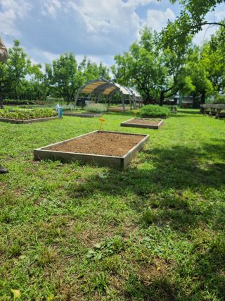 아ᆢ여름이다님의 자유주제 · 자유게시판 작성글 사진