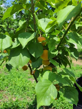 아ᆢ여름이다님의 자유주제 · 자유게시판 작성글 사진