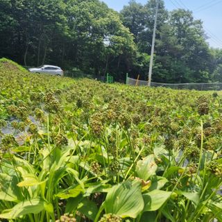 이종권님의 기타작물 · 자유게시판 작성글 사진