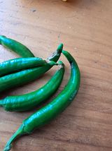 팜모닝 고추·병해충상담 게시글 이미지