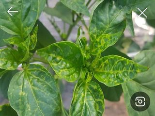 알 수 없음님의 자유주제 · 자유게시판 작성글 사진