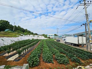 임순영님의 장마 대비 어떻게 하셨나요? · 참여 작성글 사진