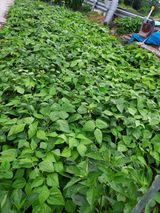 팜모닝 자유주제·사진전 게시글 이미지