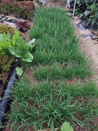 최병화 님의 자유주제 · 사진전 작성글 사진