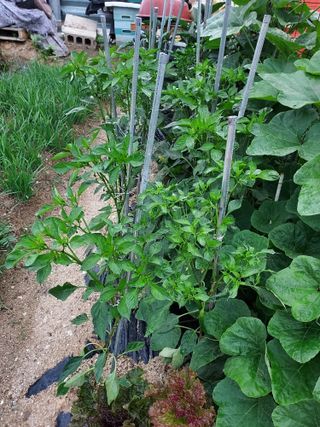 최병화 님의 자유주제 · 사진전 작성글 사진