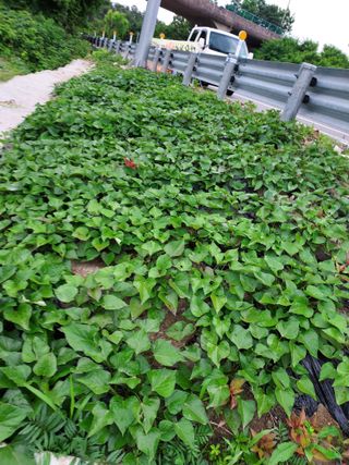 최병화 님의 자유주제 · 사진전 작성글 사진