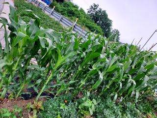 최병화 님의 자유주제 · 사진전 작성글 사진