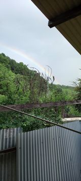 팜모닝 자유주제·사진전 게시글 이미지