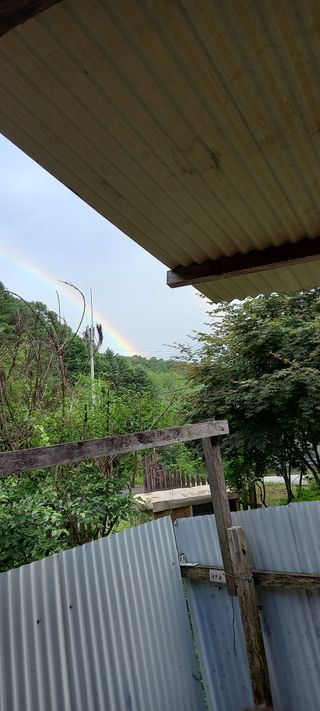 가일홍기남님의 자유주제 · 사진전 작성글 사진