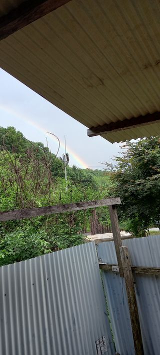 가일홍기남님의 자유주제 · 사진전 작성글 사진