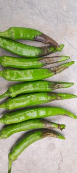 팜모닝 장마 대비 어떻게 하셨나요?·참여 게시글 이미지