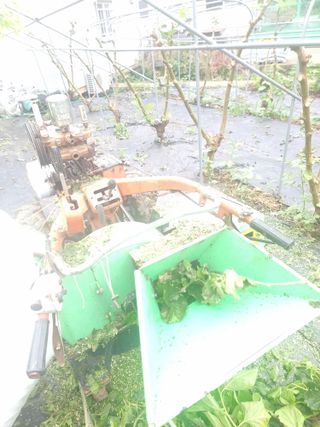 정영기대산축산농부♡님의 기타작물 · 자유게시판 작성글 사진