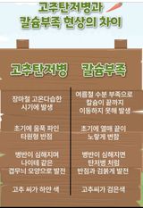 팜모닝 자유주제·자유게시판 게시글 이미지